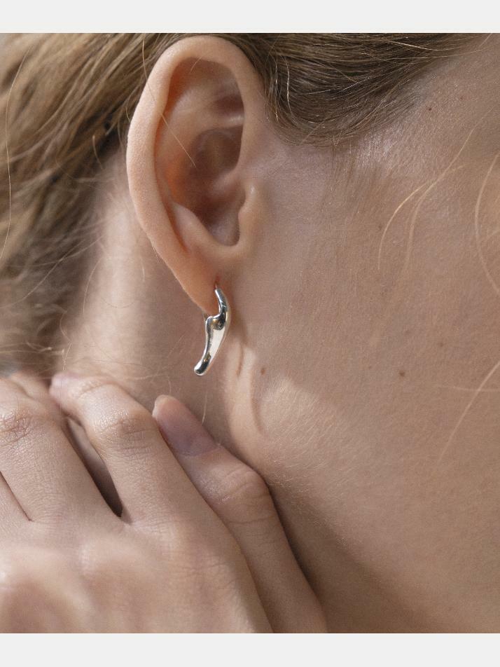 제이누이 네이처 귀걸이 silver