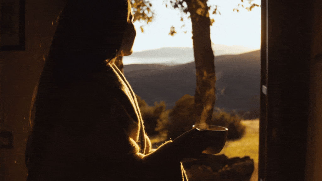 Orange%20party%20upload%20final_1.gif