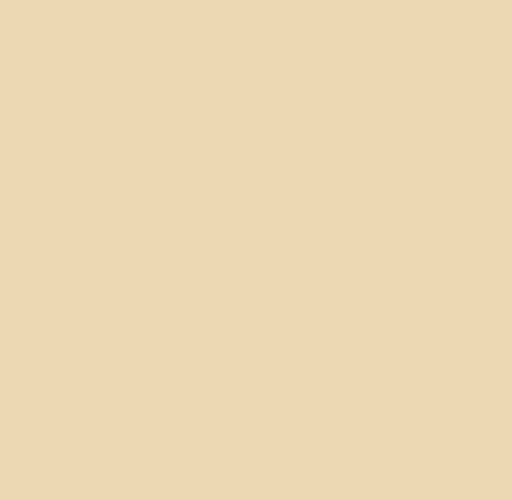 Orange%20party%20upload%20final_31.gif