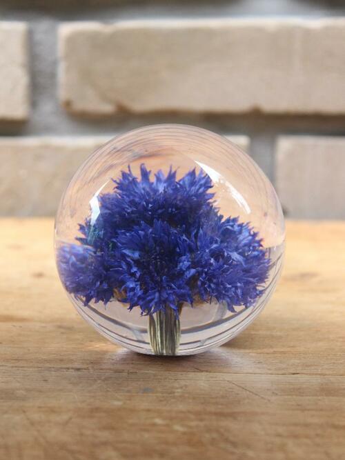 하포드 그란지 문진 (수레국화) 85mm Cornflower