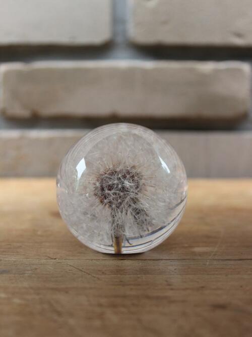 하포드 그란지 문진 (민들레) 64mm Dandelion