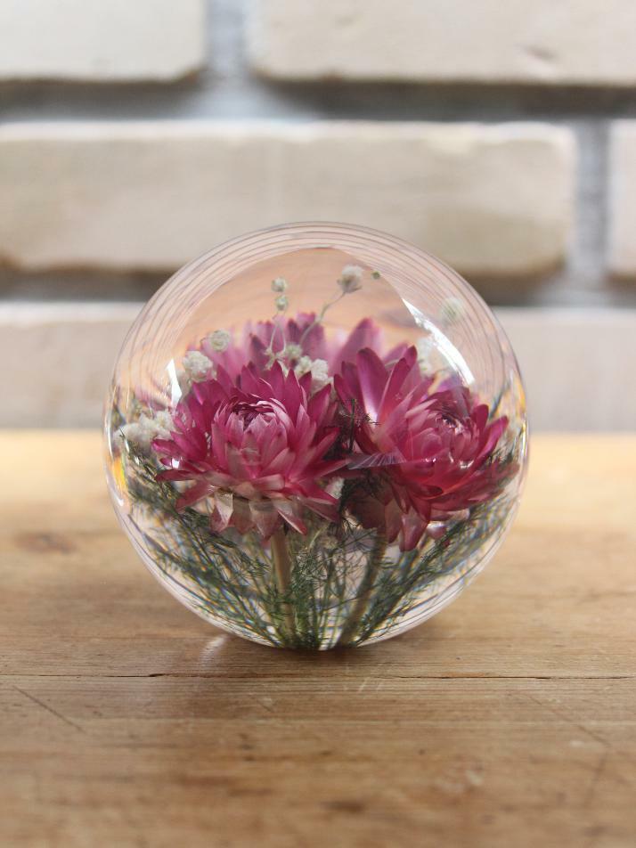 하포드 그란지 문진 (헬리크리썸) 85mm Helichrysum Pink