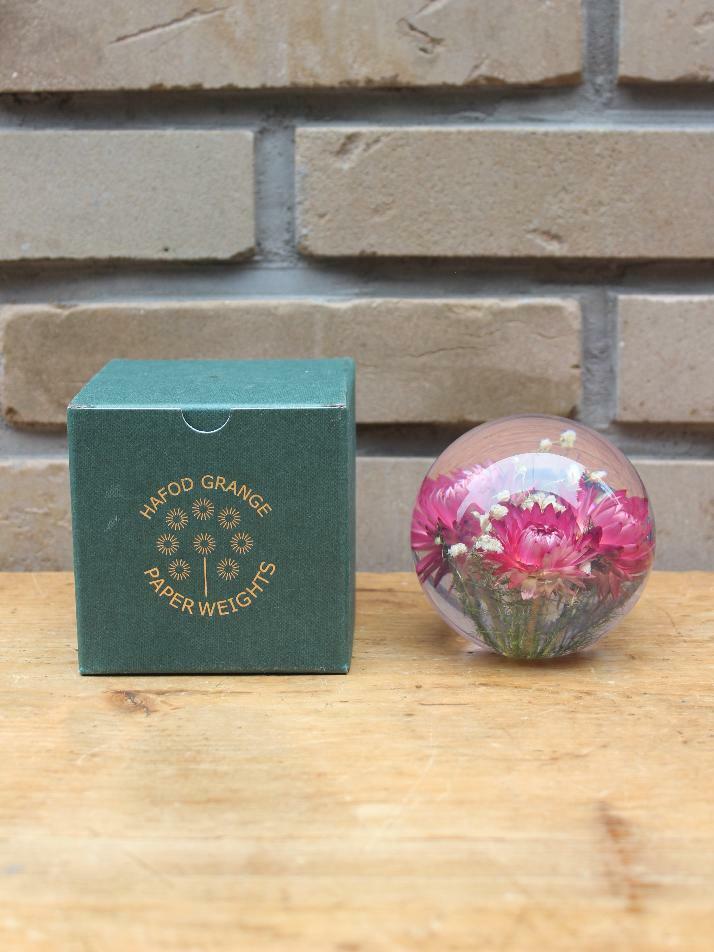 하포드 그란지 문진 (헬리크리썸) 85mm Helichrysum Pink
