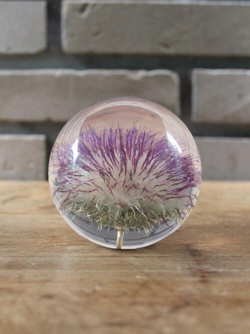 하포드 그란지 문진 (엉겅퀴) 85mm Thistle