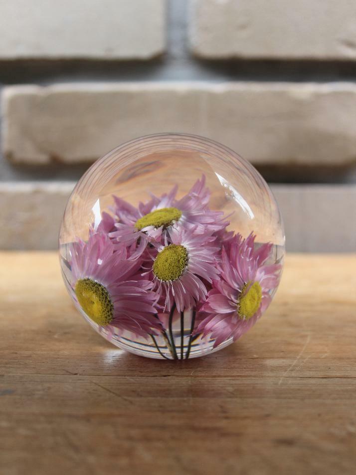 하포드 그란지 문진 (로단테) 85mm Rhodanthe