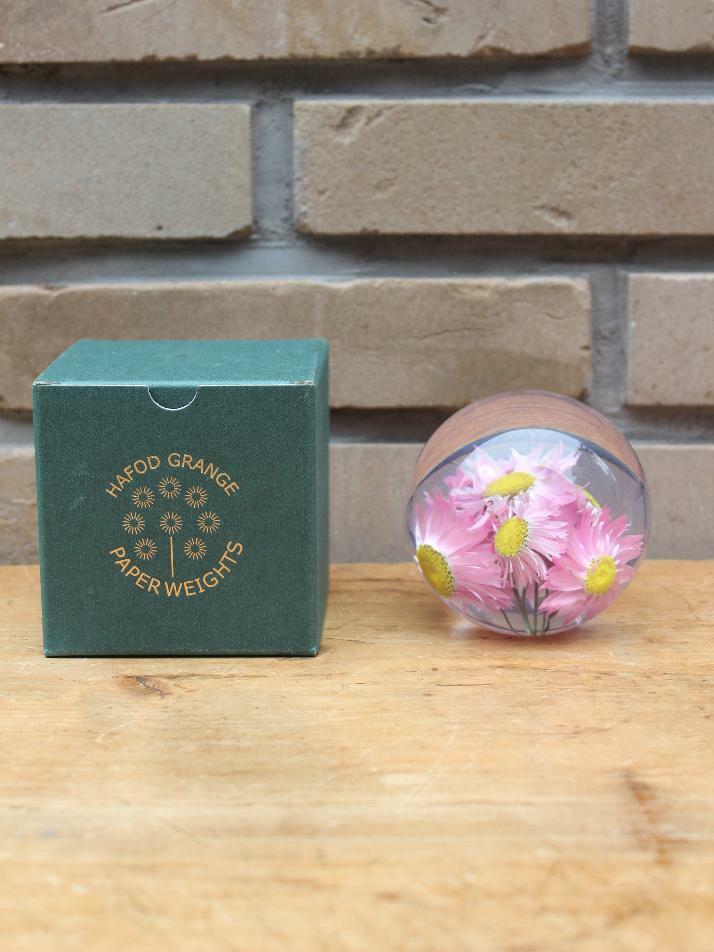 하포드 그란지 문진 (로단테) 85mm Rhodanthe