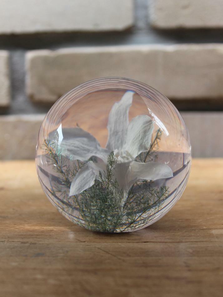 하포드 그란지 문진 (난초) 85mm Orchid White