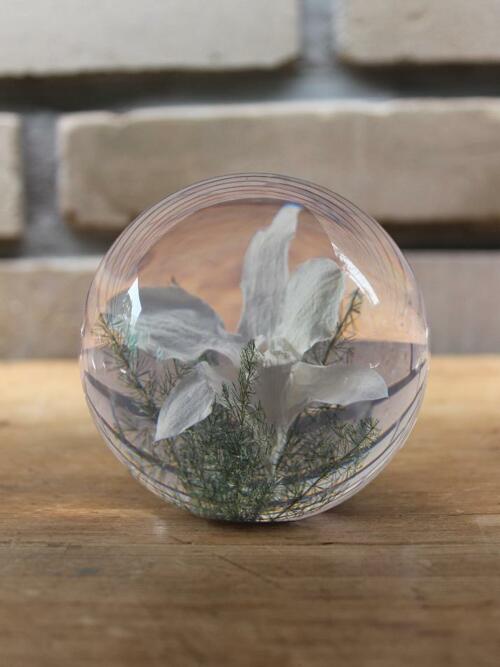 하포드 그란지 문진 (난초) 85mm Orchid White