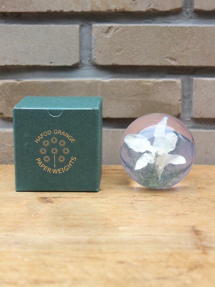 하포드 그란지 문진 (난초) 85mm Orchid White