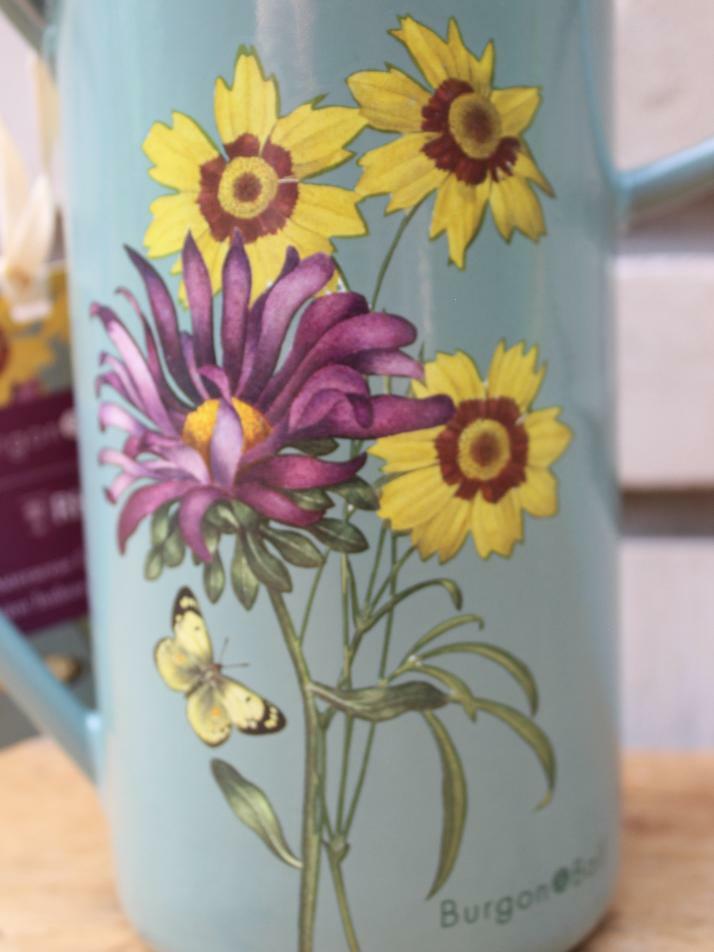 버건앤볼 물조리개 - Asteraceae