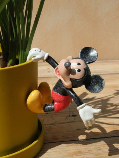 자디노피아 디즈니 화분인형 (미키마우스) Mickey Mouse Pot Buddy