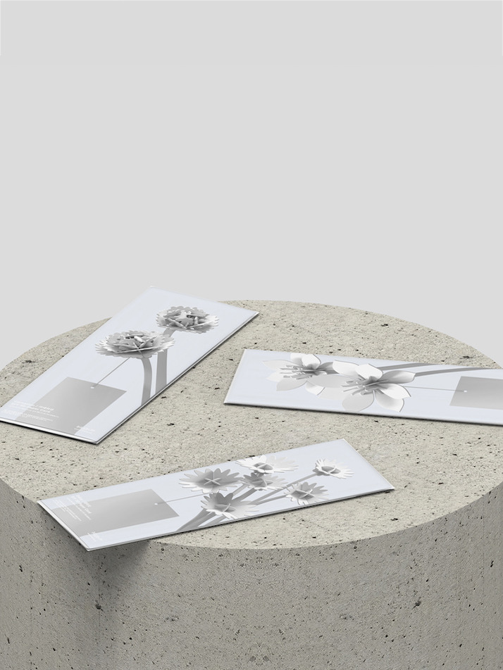 Stem flower card - 데이지