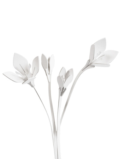 붓꽃 Crocus