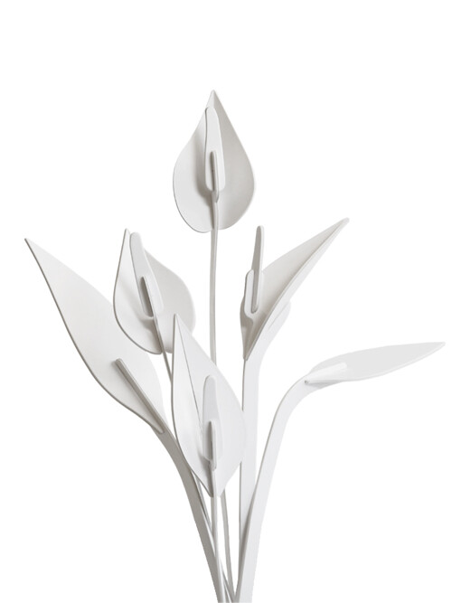 피스릴리 Peace Lilly