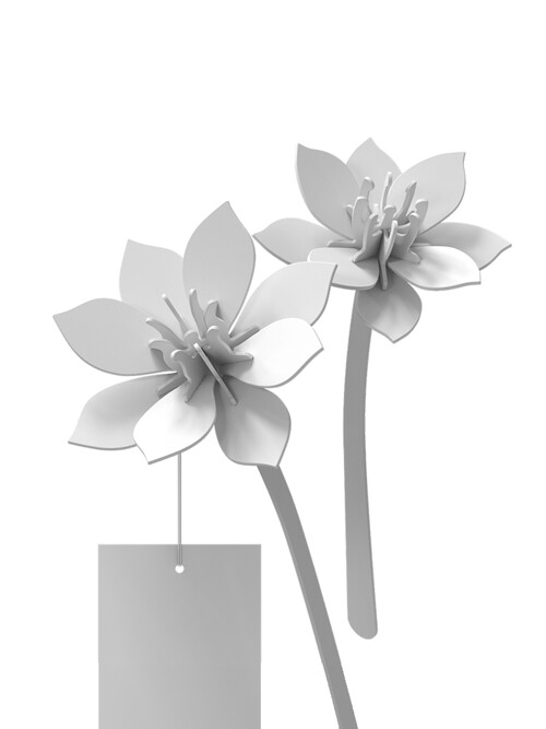 Stem flower card - 수선화