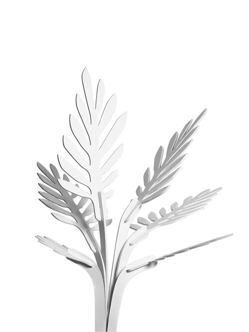 테이블야자잎 Parlour palm