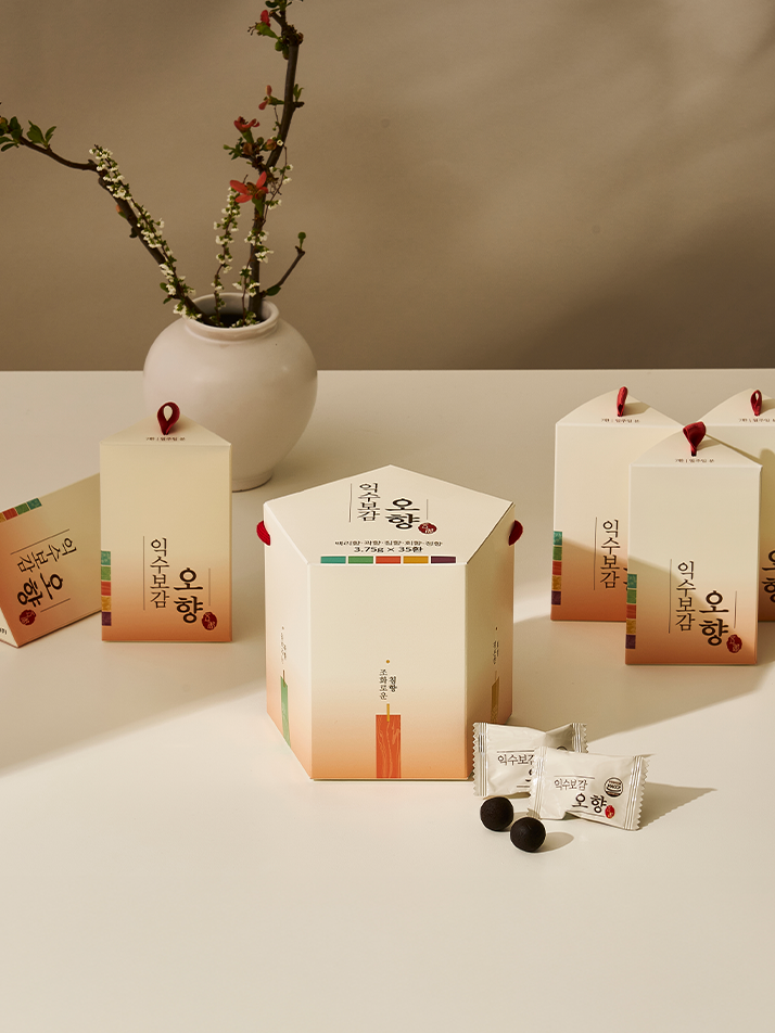 익수보감 오향 침향환 (3.75g x 35환 / 5주 분량)
