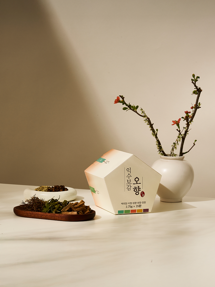 익수보감 오향 침향환 (3.75g x 35환 / 5주 분량)