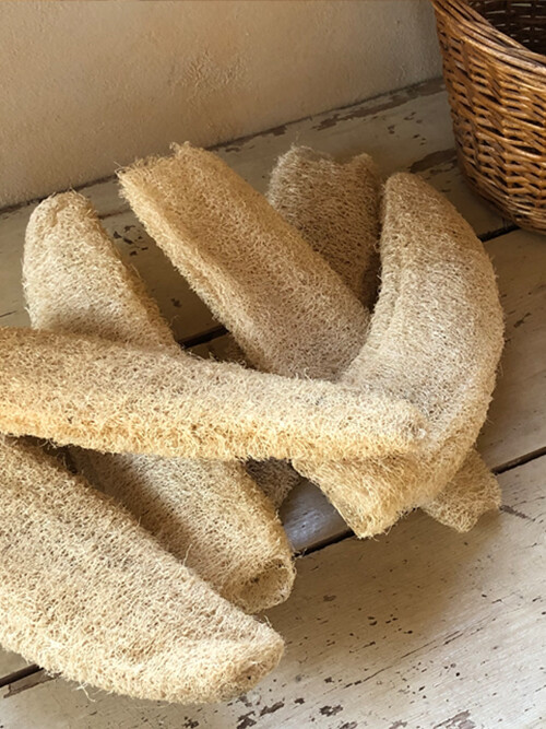 에센시에르 압축 통 수세미 (30cm 내외)