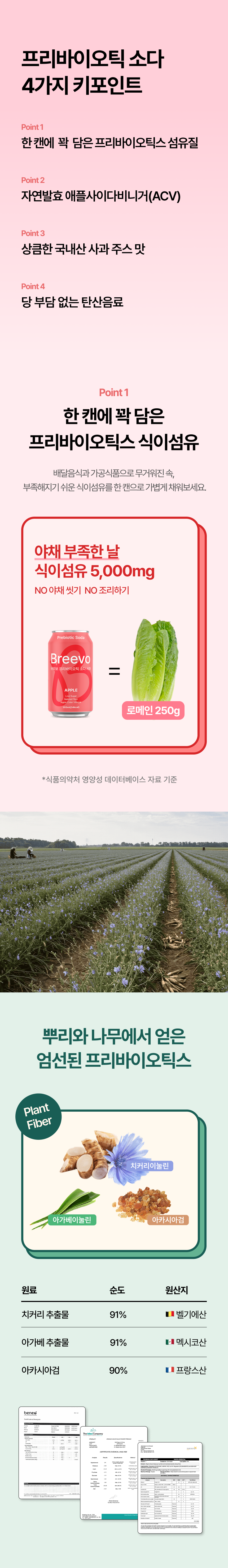 %E1%84%87%E1%85%B3%E1%84%85%E1%85%B5%E1%84%87%E1%85%A9_4.png
