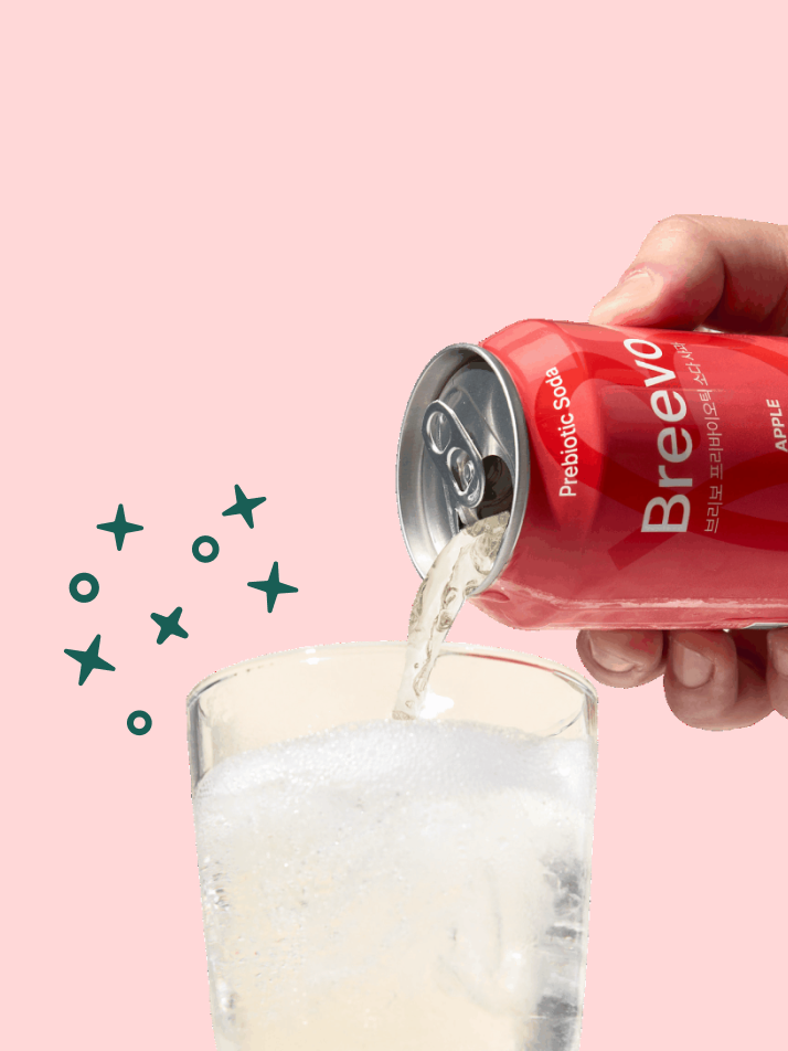 브리보 프리바이오틱 소다 복숭아 355ml 12개입