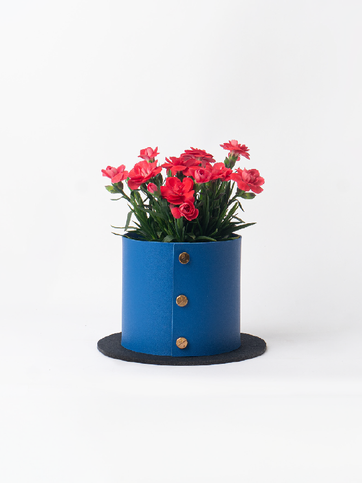 식물세트) 팟커버 XS + 카네이션 리미티드 셋업