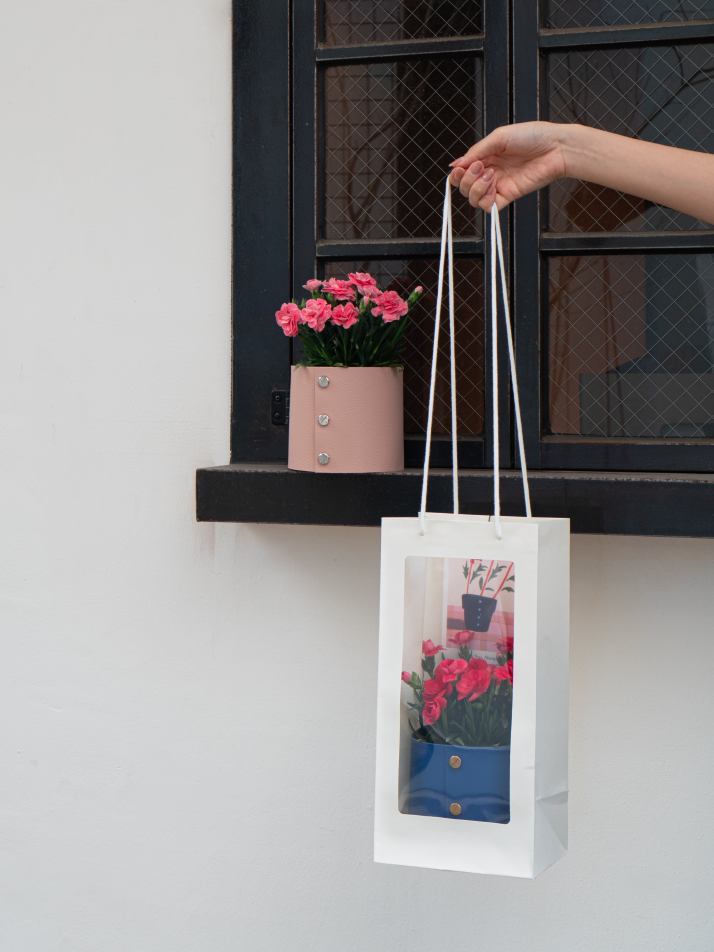 식물세트) 팟커버 XS + 카네이션 리미티드 셋업