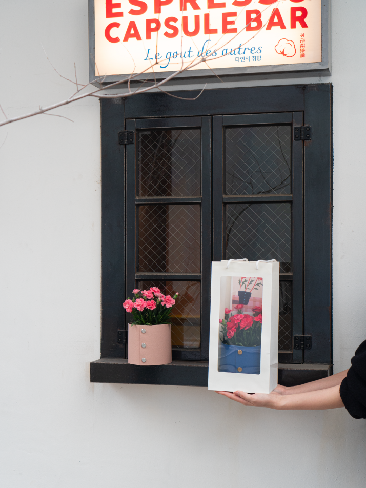 식물세트) 팟커버 XS + 카네이션 리미티드 셋업