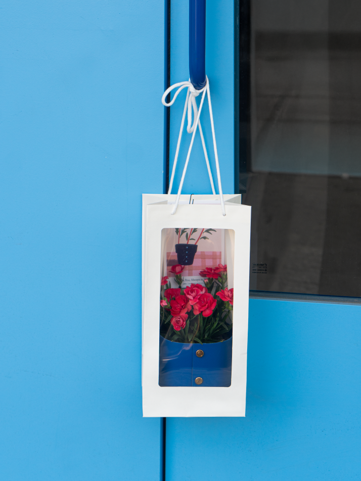 식물세트) 팟커버 XS + 카네이션 리미티드 셋업