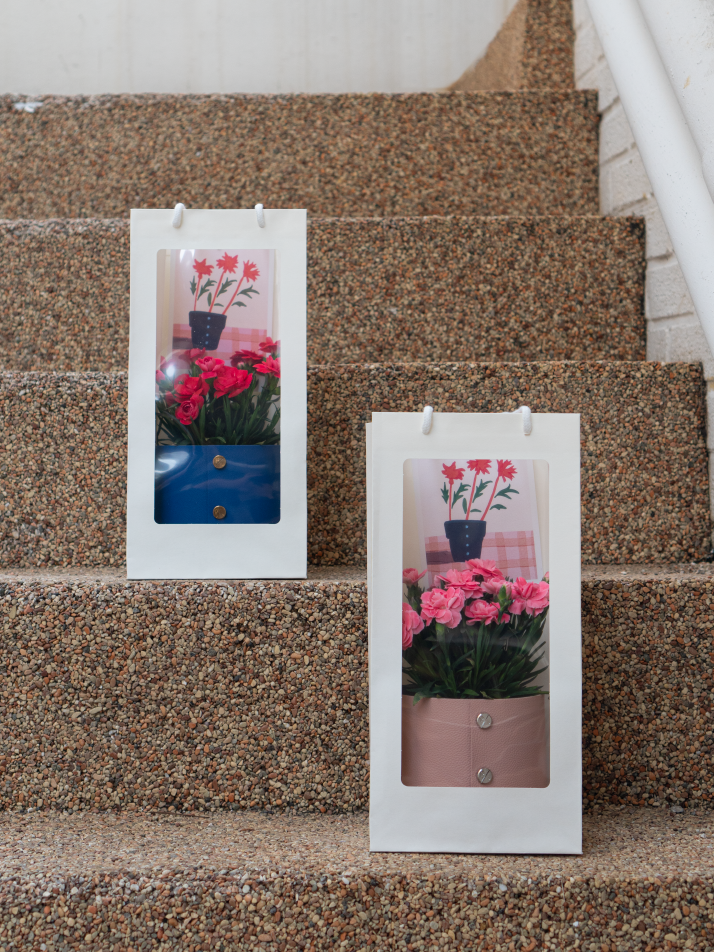 식물세트) 팟커버 XS + 카네이션 리미티드 셋업