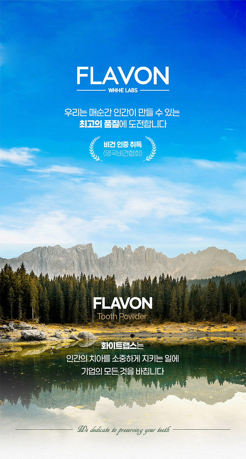 flavon_01.jpg