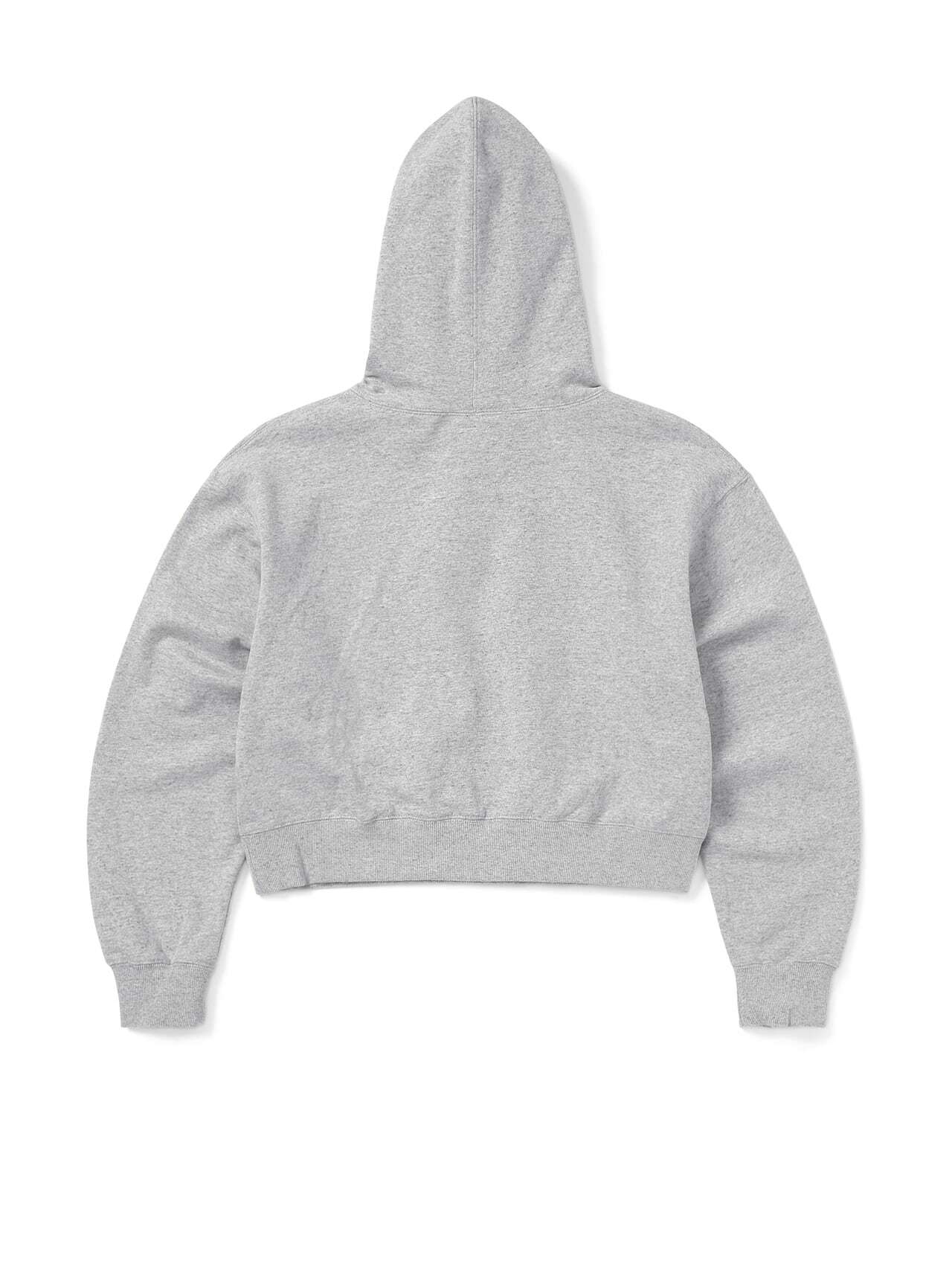 T-Logo-W-Hoodie-Heather-Grey5.jpg