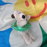 IMG_5555.jpg