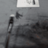 se_one_ani_20231016_070355_a.gif