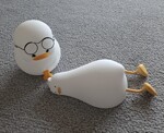 IMG_7805.jpeg