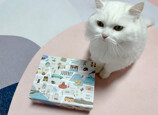 IMG_2137.jpeg