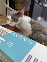 IMG_0547.jpeg