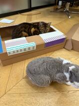 IMG_0540.jpeg
