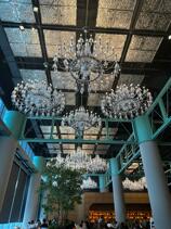 IMG_5901.jpeg