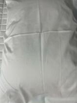 IMG_0351.jpeg
