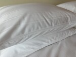 IMG_3542.jpeg