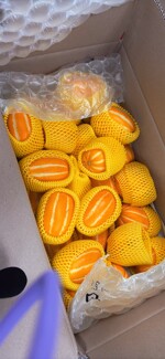 IMG_4581.jpeg