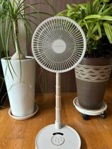 IMG_4275.jpeg
