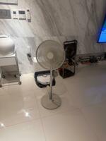 IMG_8615.jpeg