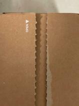 IMG_5087.jpeg