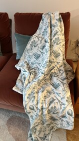 IMG_2868.jpeg