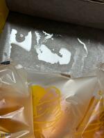 IMG_3840.jpeg