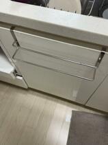 IMG_7984.jpeg