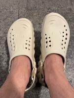 IMG_8398.jpeg