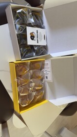 IMG_1226.jpeg